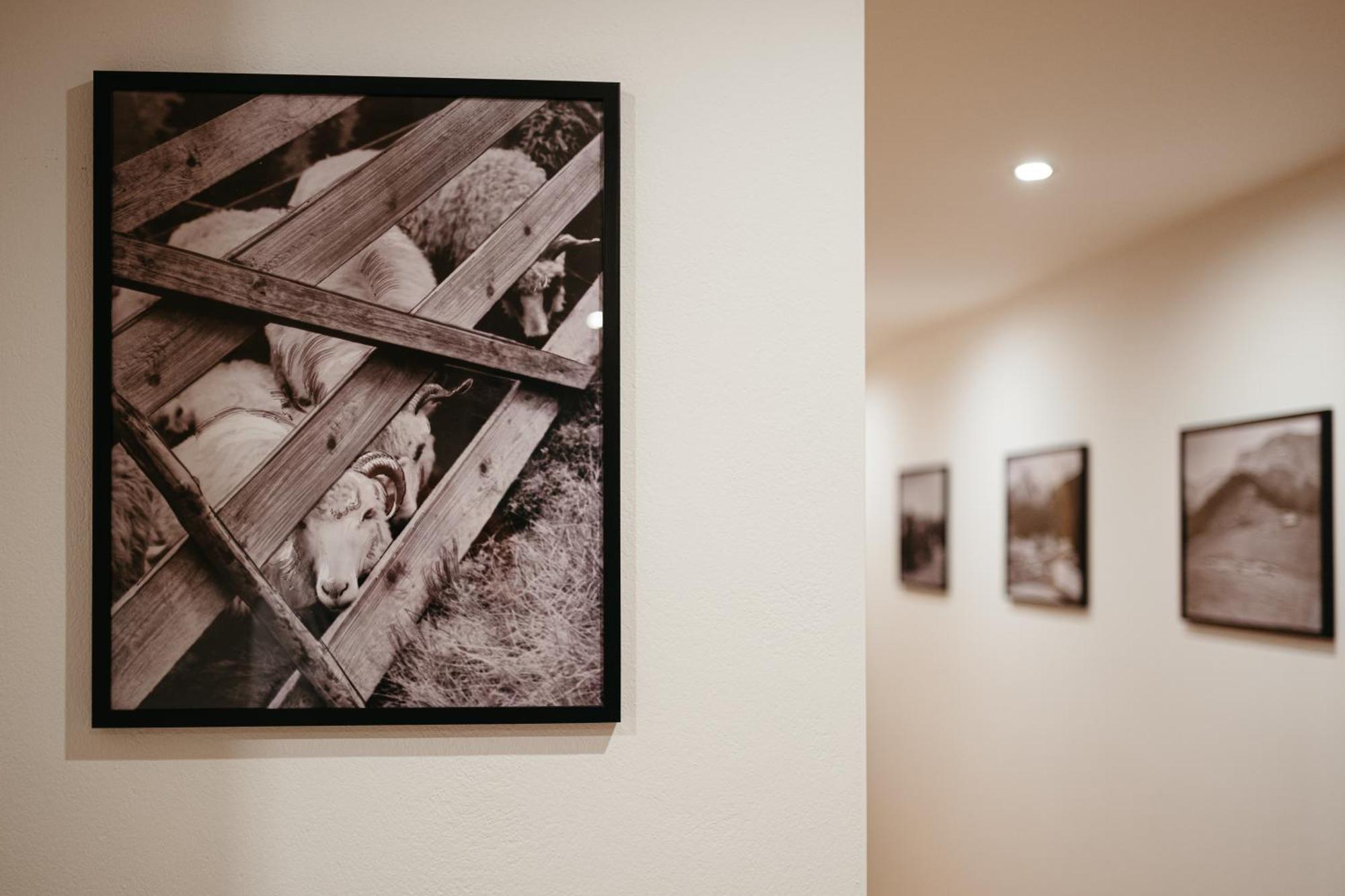 Novopolka Apartamenty Rzepiska Oda fotoğraf